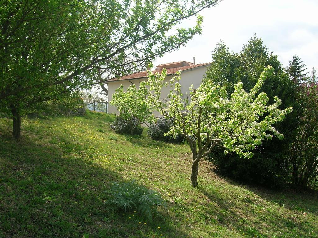 Casa Vacanze La Venarella Sorano  Camera foto
